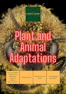 5. Plant and Animal Adaptations