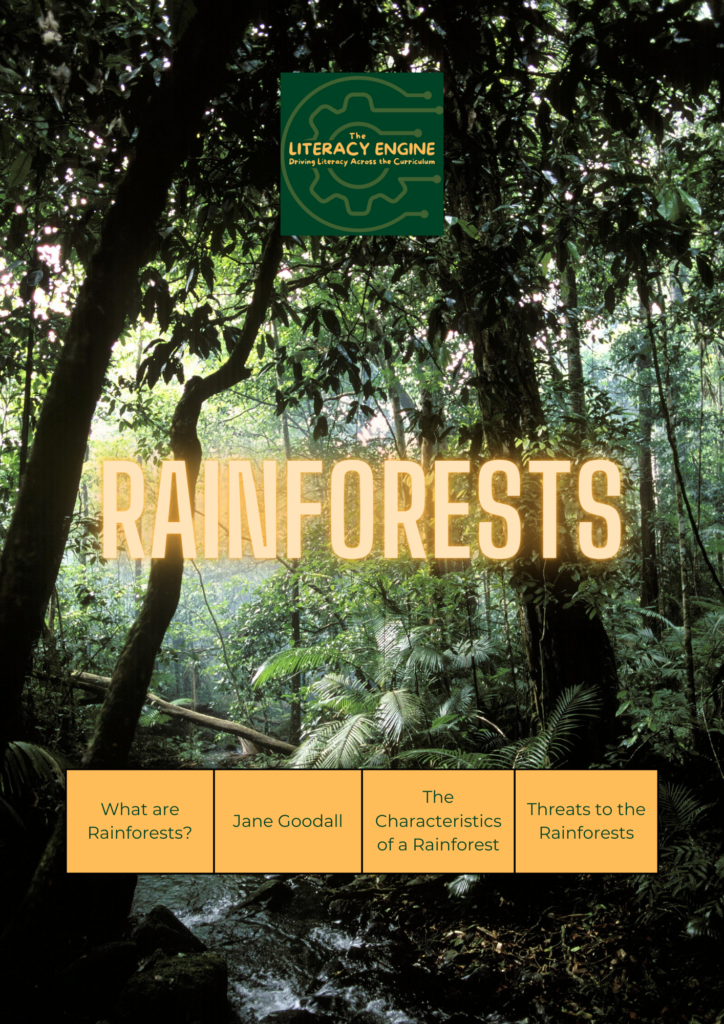 Rainforests Image